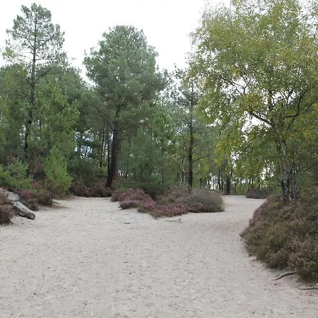 Camping Camping Ile De Boulancourt